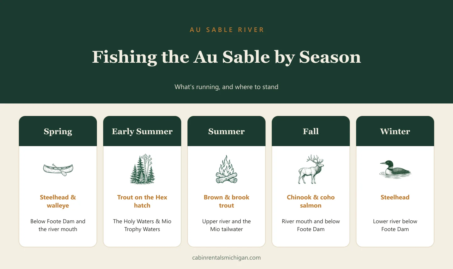 Au Sable River fishing by season infographic showing spring steelhead, summer trout on the Hex hatch, fall salmon and winter steelhead