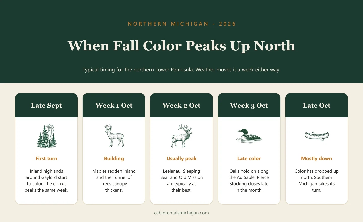 Timeline showing when fall color peaks in northern Michigan: first turn in late September around Gaylord, building in the first week of October, usually peak in the second week, late color in the third week, and mostly down by late October