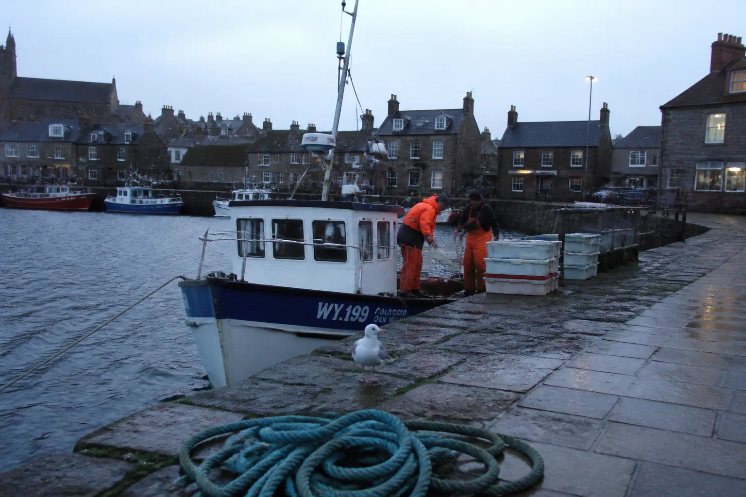 A small white-and-blue fishing boat moored at the stone pier in Stromness harbour, Orkney, in pale early-morning light, with a couple of fishermen in orange waterproofs unloading plastic fish boxes onto the pier and a single seagull in the foreground
