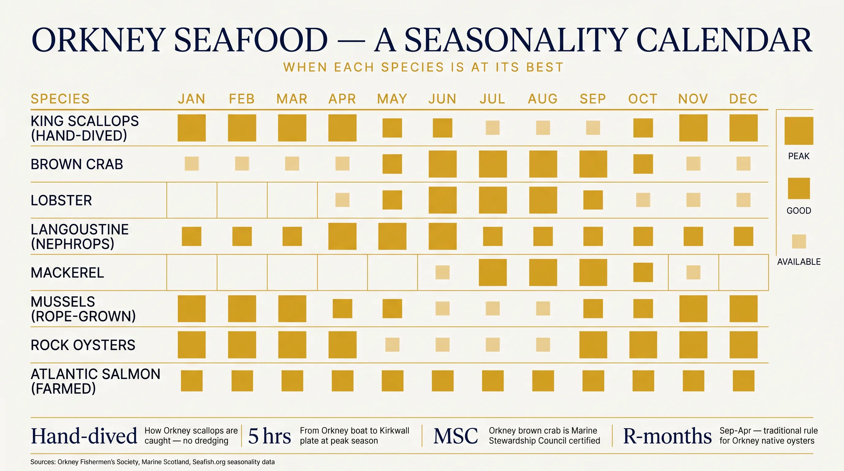 Editorial heatmap infographic showing Orkney seafood seasonality month by month for 8 species — king scallops (hand-dived), brown crab, lobster, langoustine, mackerel, rope-grown mussels, rock oysters, and farmed Atlantic salmon — with peak/good/available intensity markers and four key callouts about hand-diving, 5-hour boat-to-plate, MSC certification and the R-months oyster rule