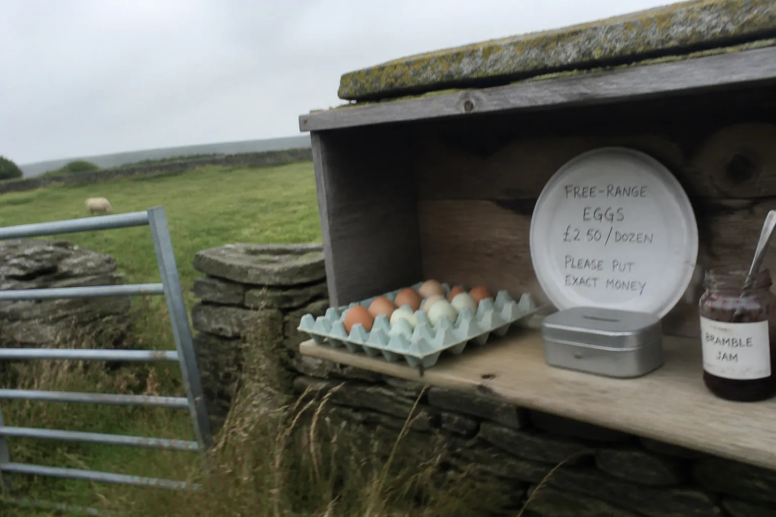A small wooden honesty box on a stone wall outside a farm gate on the West Mainland of Orkney, with a tray of mixed brown and pale-blue duck eggs in cardboard cartons, a hand-written sign on a paper plate reading FREE-RANGE EGGS £2.50 / DOZEN — PLEASE PUT EXACT MONEY, a small metal honesty tin with a slot in the lid, and a half-empty jar of bramble jam, with a green farm field with sheep behind