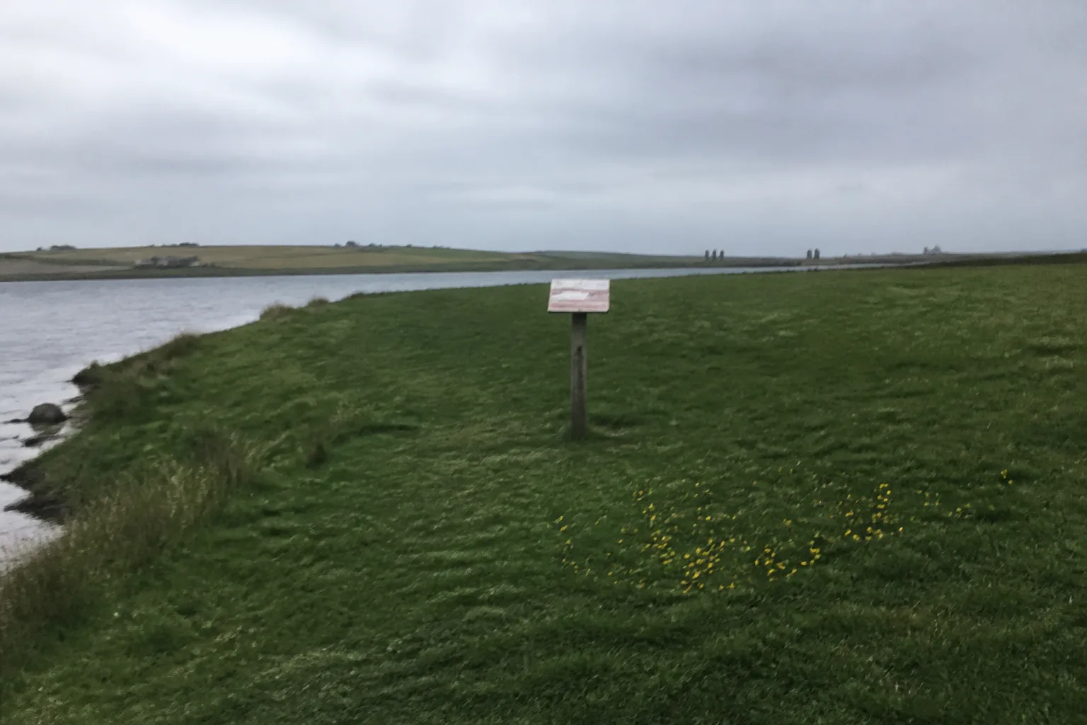 The Ness of Brodgar excavation site after the 2024 reburial — a green grass-covered field on the Brodgar peninsula between the Loch of Stenness and the Loch of Harray, with a single weather-faded HES interpretation panel on a wooden post in the middle distance and the standing stones of the Ring of Brodgar just visible on the horizon