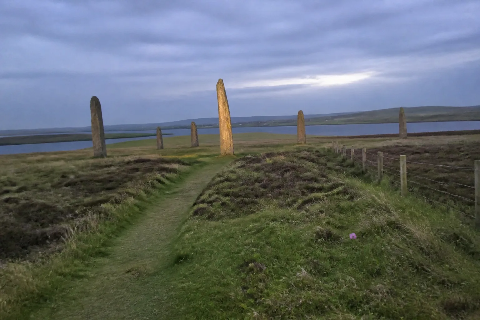 Several tall standing stones of the Ring of Brodgar Neolithic stone circle on Orkney Mainland in evening light, with a thin grass path leading through the circle protected by a low wooden post-and-wire fence and the stones standing on a windswept grass-and-heather plain between two lochs under an overcast grey-blue sky