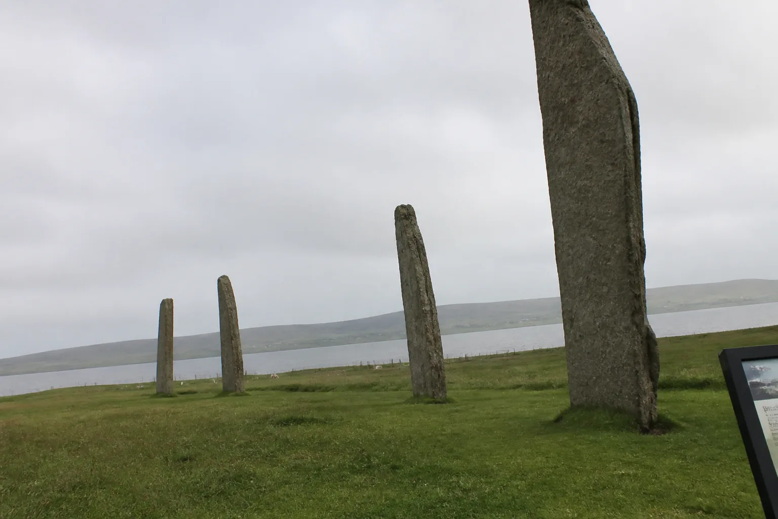 The Standing Stones of Stenness on Orkney Mainland — four enormous thin slab-like standing stones of grey-brown sandstone, some 5 metres tall, standing on a flat stretch of grass between the Loch of Stenness and the Loch of Harray under an overcast sky with a few sheep grazing in the distance