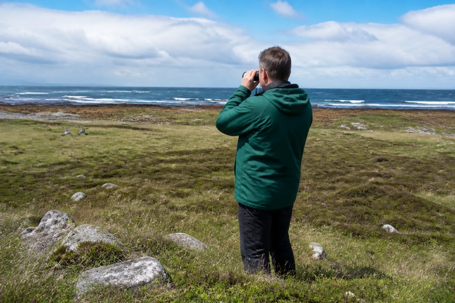 A birdwatcher in a waterproof jacket scanning the low coastal heath and shoreline of North Ronaldsay with binoculars, small migrant birds and the open sea visible, bright broken summer cloud overhead