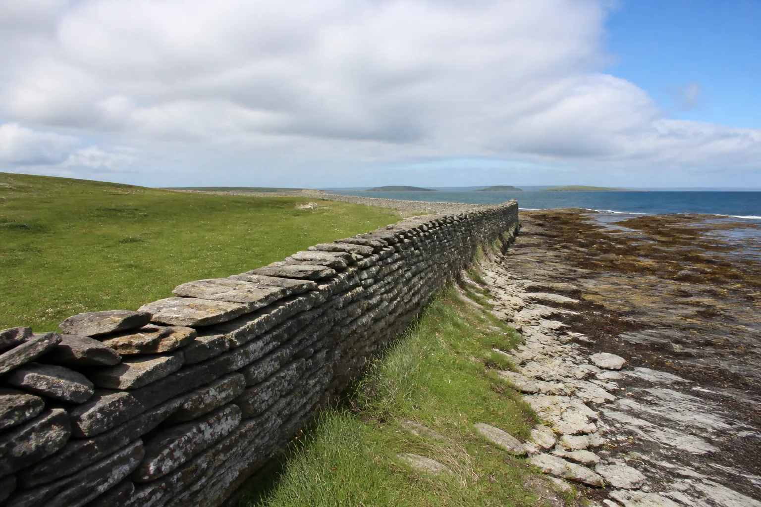 The North Ronaldsay drystone Sheep Dyke running along the rocky shoreline of the island, a low weathered grey stone wall separating the green inland fields from the seaweed-covered foreshore and sea, under bright summer cloud