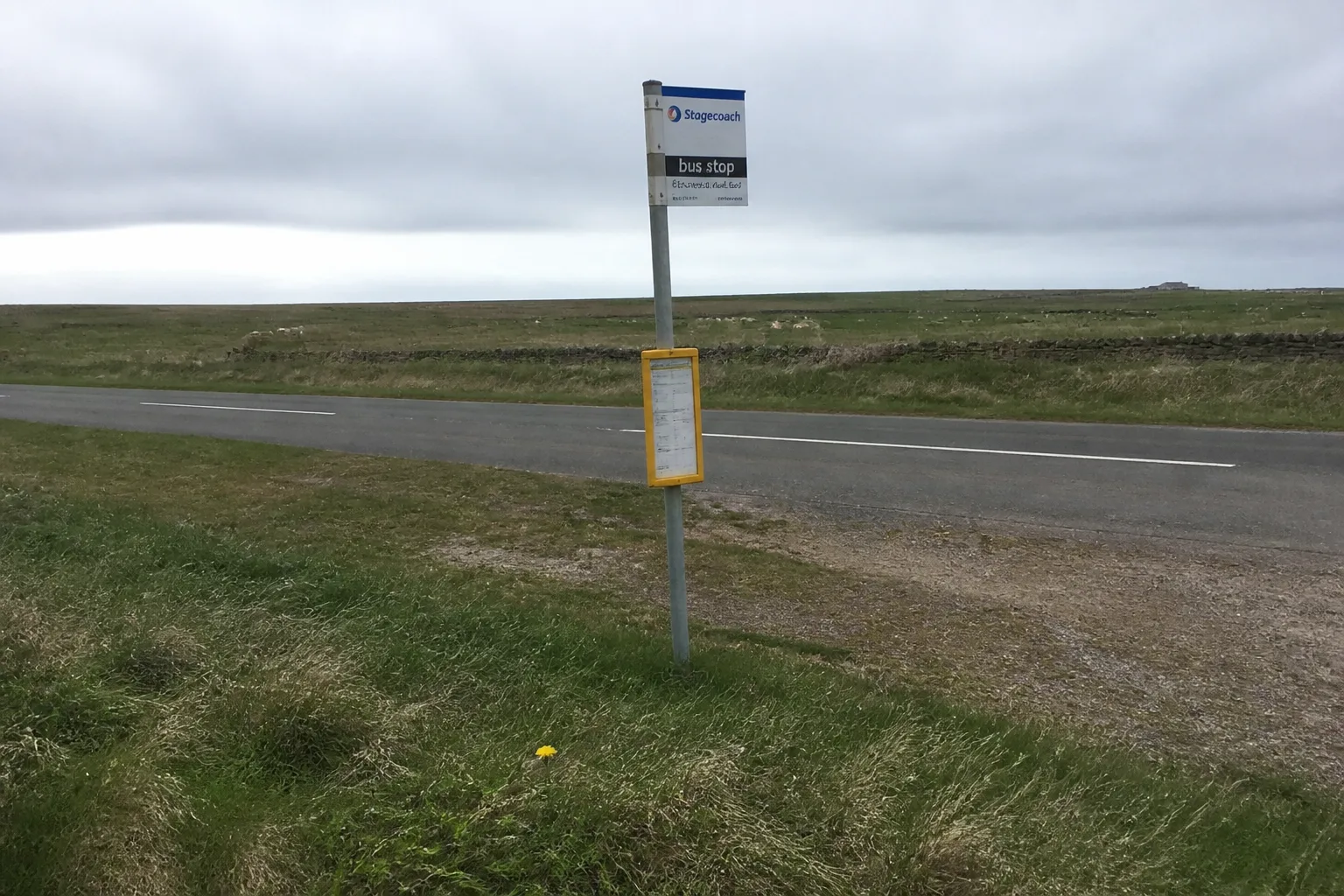 A small rural bus-stop sign on a single-track road on the West Mainland of Orkney — a metal post with a yellow Stagecoach timetable in a clear plastic case, surrounded by rough grass verge, with the empty road stretching across flat farmland and sheep grazing in the distance under overcast sky