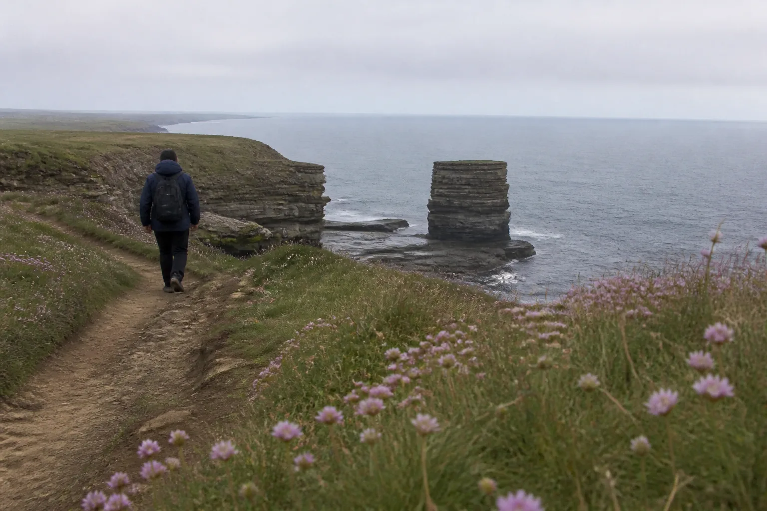 A single walker in a navy waterproof jacket and rucksack walking along the rough grass clifftop coastal path at Yesnaby on the West Mainland of Orkney, with the dramatic dark sandstone sea cliffs and the Yesnaby Castle sea stack visible in the middle distance, sea-thrift wildflowers in the foreground