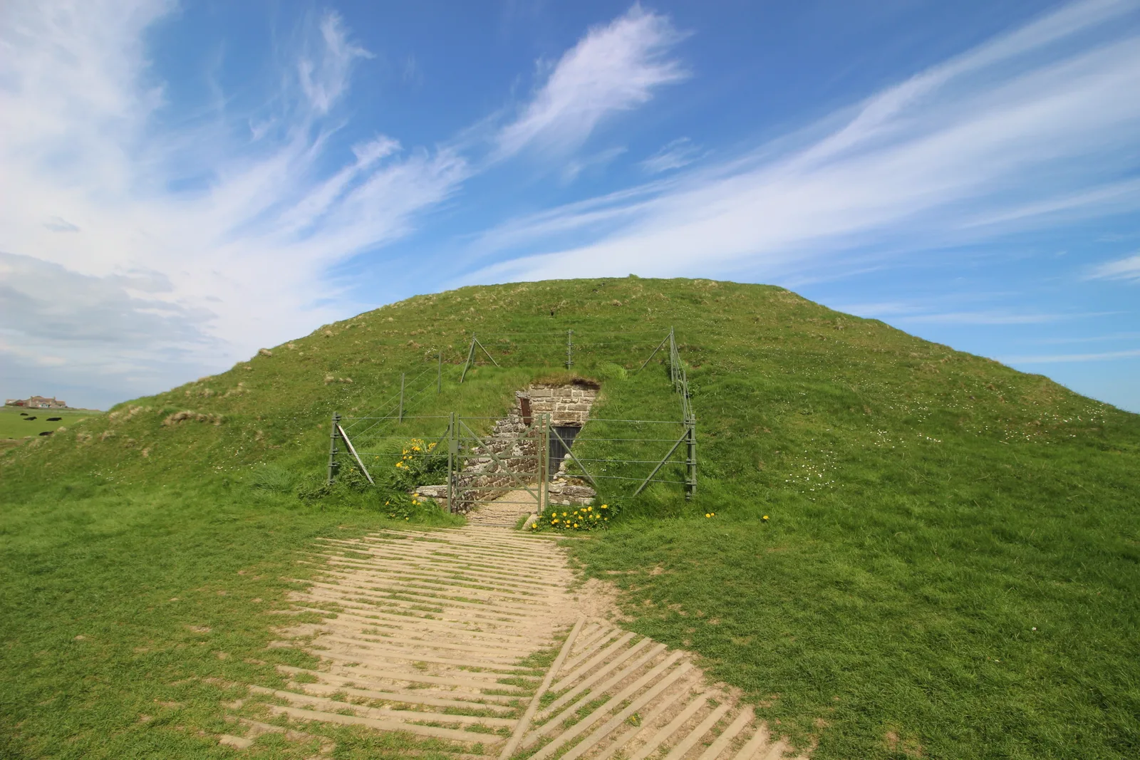 The grass-covered mound of Maeshowe chambered cairn rising from flat Orkney farmland