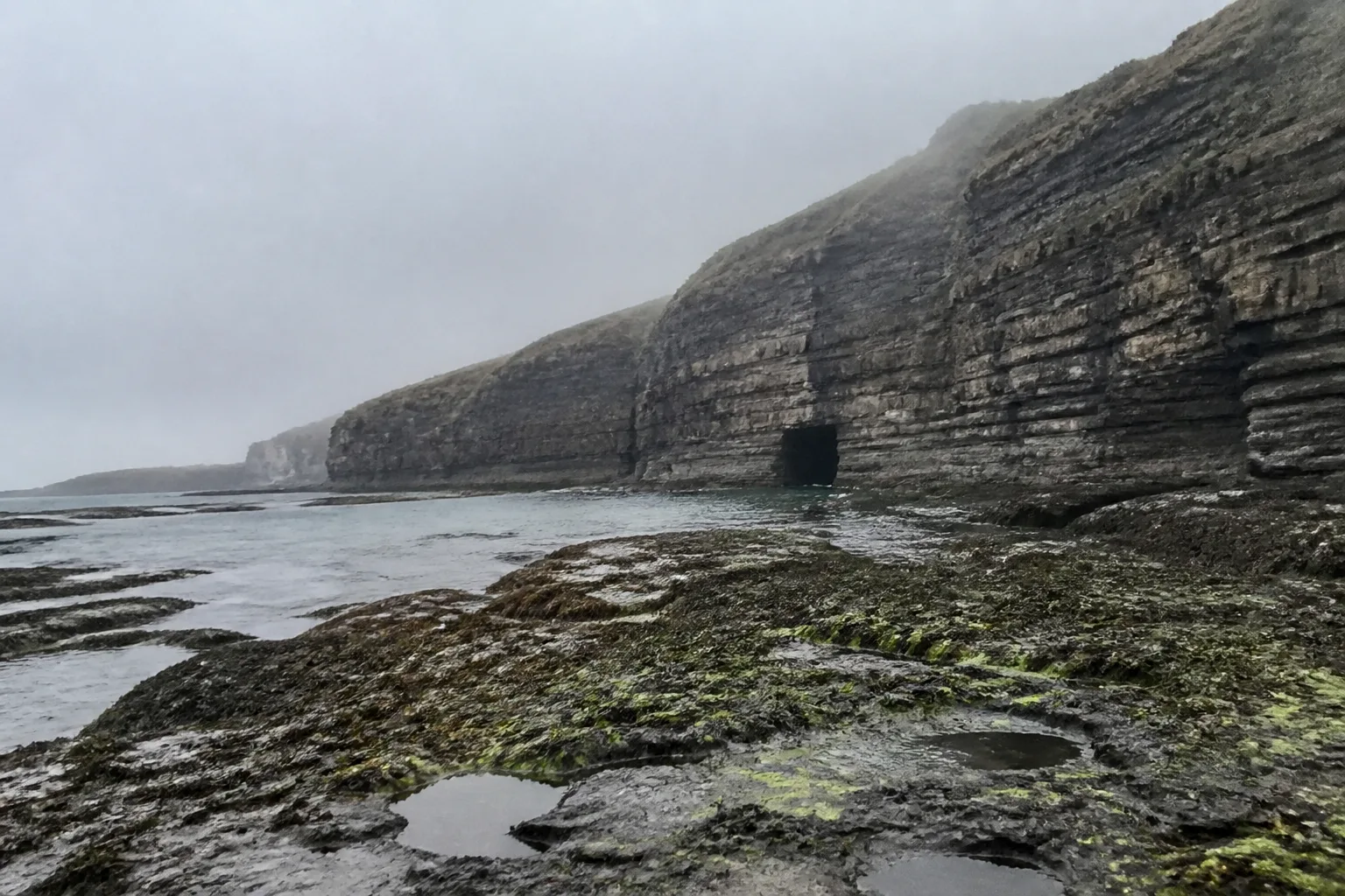 The entrance to a sea cave at the base of dark sandstone cliffs near Yesnaby on the West Mainland of Orkney photographed at low tide on an overcast afternoon — a black rectangular hole in the cliff partially flooded with shallow grey-green water, surrounded by wet rocks covered in green seaweed and barnacles
