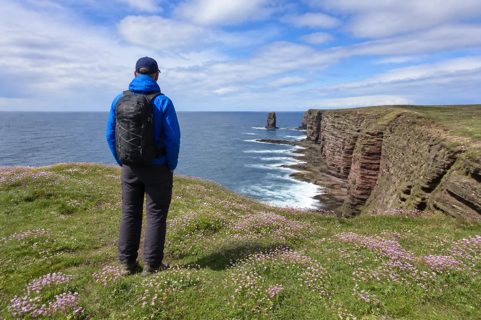 Single walker in waterproof jacket and rucksack standing on the clifftop grass at Yesnaby on the west coast of Orkney Mainland on a bright partly-cloudy summer afternoon, looking out across red sandstone sea cliffs and the Atlantic, sea pinks in bloom in the foreground