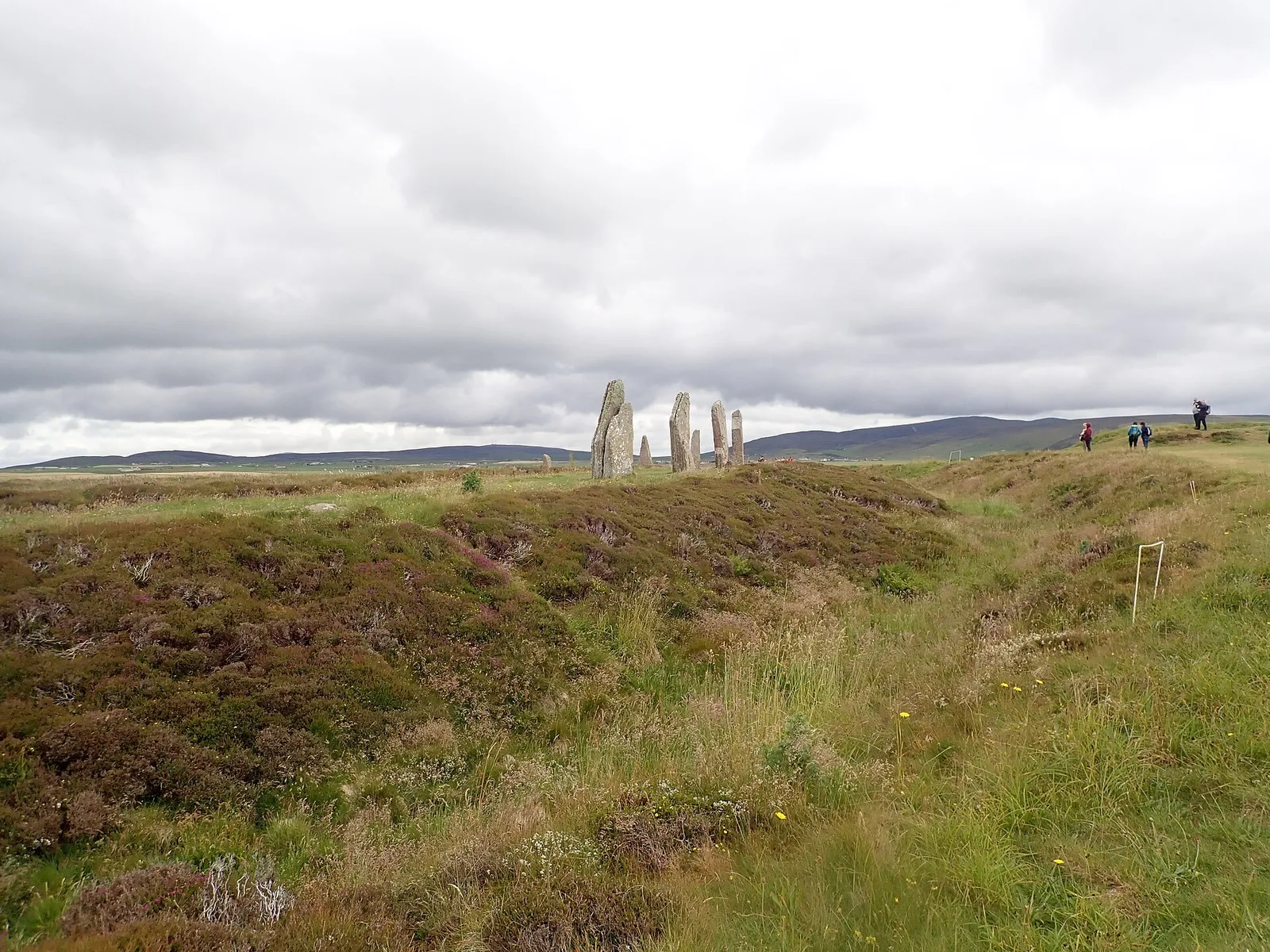 The heather-covered rock-cut ditch around the Ring of Brodgar in Orkney, with standing stones on the rise beyond and visitors on the path