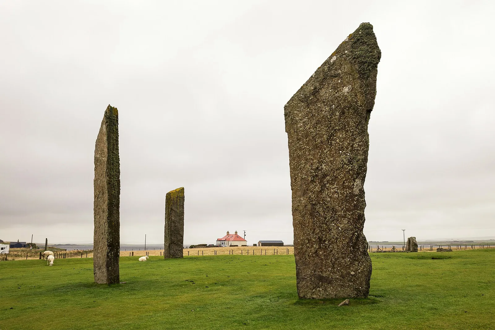 Three of the tall, thin standing stones at the Stones of Stenness in Orkney, on short grass under a grey sky with a house beyond