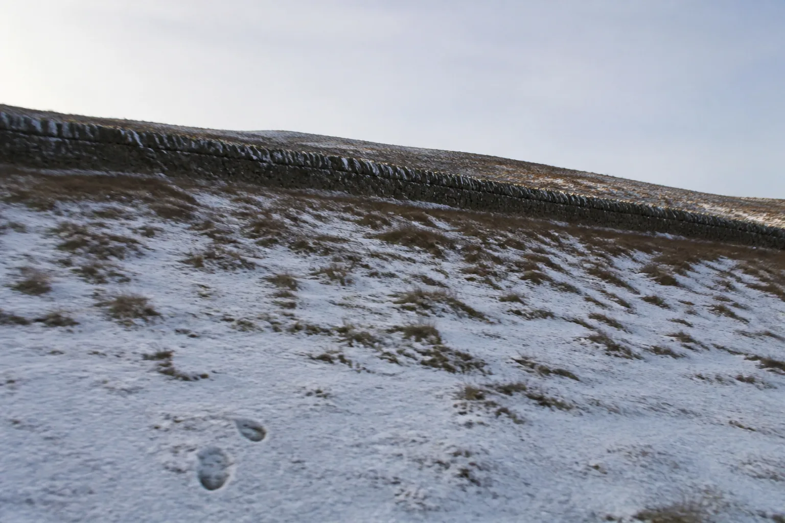 Light dusting of snow across russet-brown heather and yellow grass tussocks on the slopes of Ward Hill, Hoy, Orkney, on a clear winter morning with low pale winter sun and a partly snow-capped drystone wall running diagonally across the frame