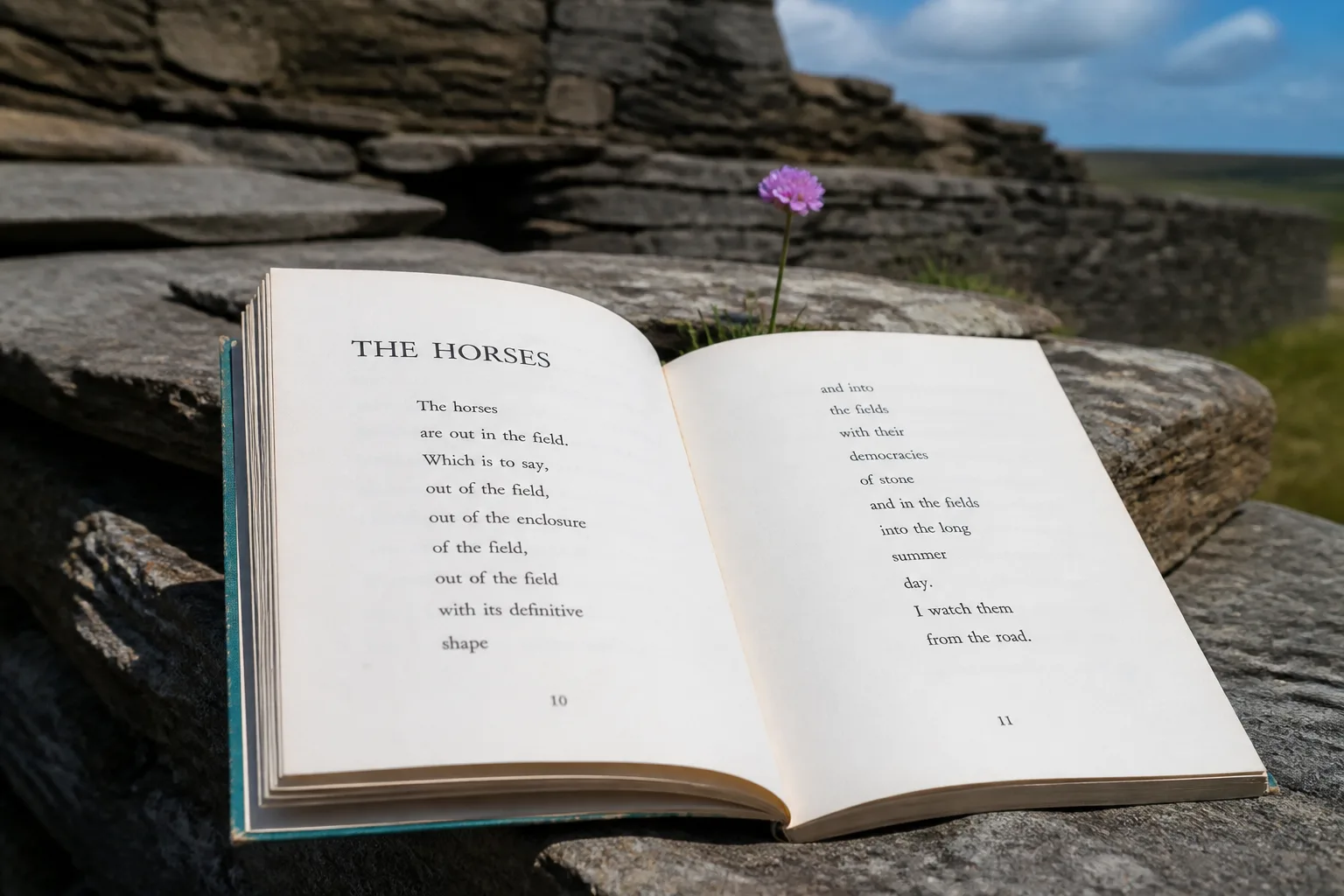 Tight close-up of an open paperback poetry book resting flat on a moss-covered drystone Orkney dyke made of irregular flat grey flagstones, with the page showing the title 'THE HORSES' in serif capitals at the top and the body of a short poem in centred lines below, a single purple sea-pink wildflower growing from a crack in the wall just behind the book and gently out of focus