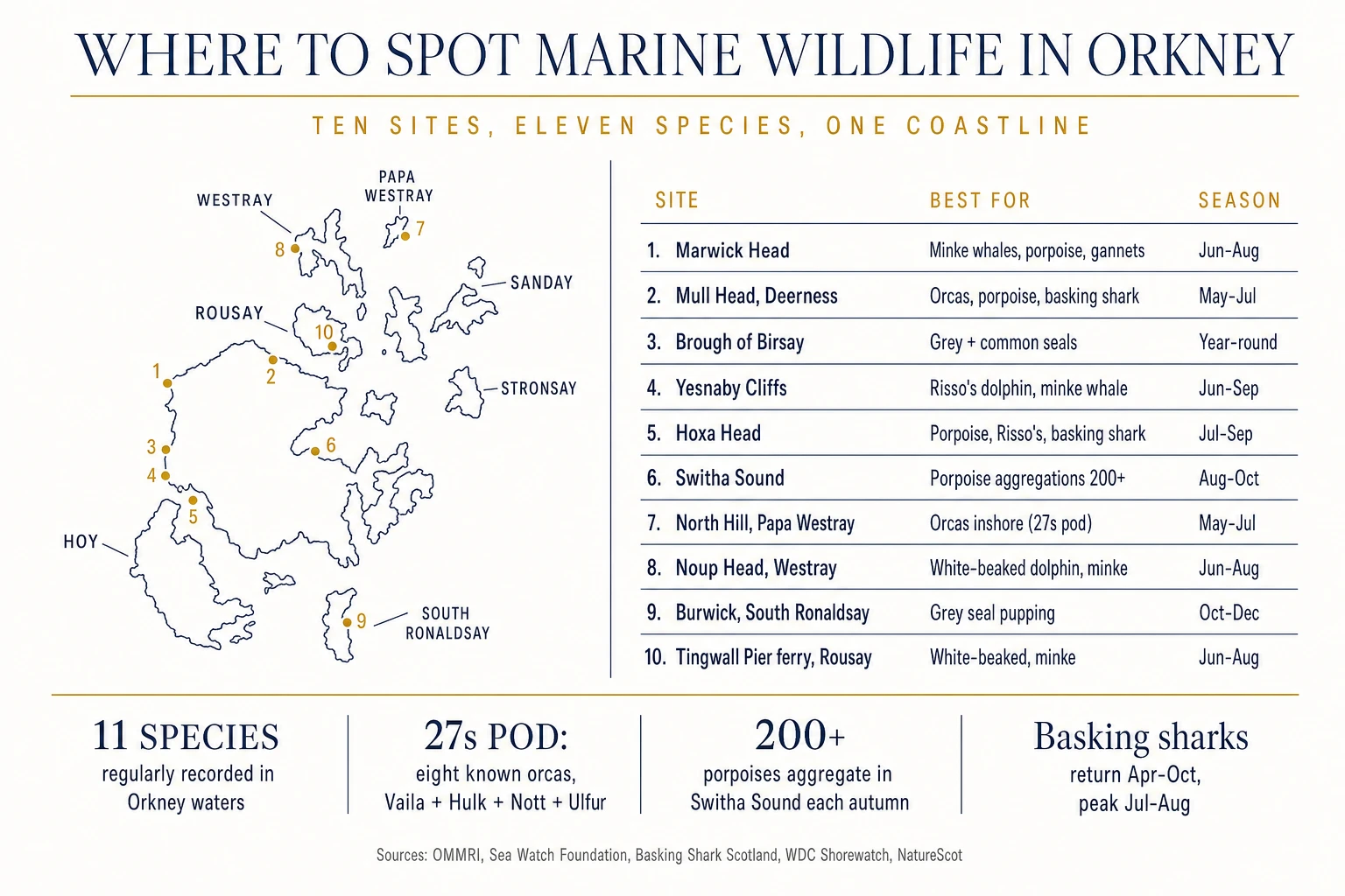 Where to spot marine wildlife in Orkney — schematic map and table of ten viewing sites with the species and seasons for each, including Marwick Head, Mull Head, Brough of Birsay, Yesnaby, Hoxa Head, Switha Sound, North Hill on Papa Westray, Noup Head on Westray, Burwick, and the Tingwall Pier ferry