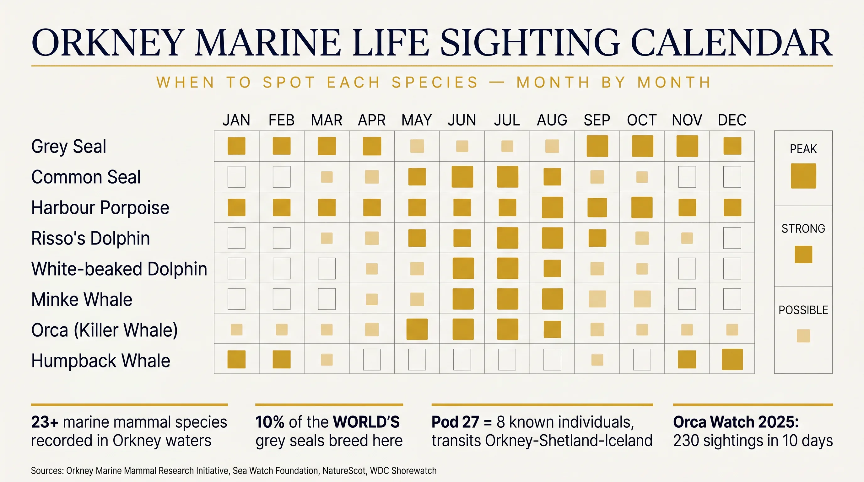 Orkney marine life sighting calendar — month-by-month heatmap showing peak, strong, and possible sighting probability for grey seal, common seal, harbour porpoise, Risso's dolphin, white-beaked dolphin, minke whale, orca, and humpback whale