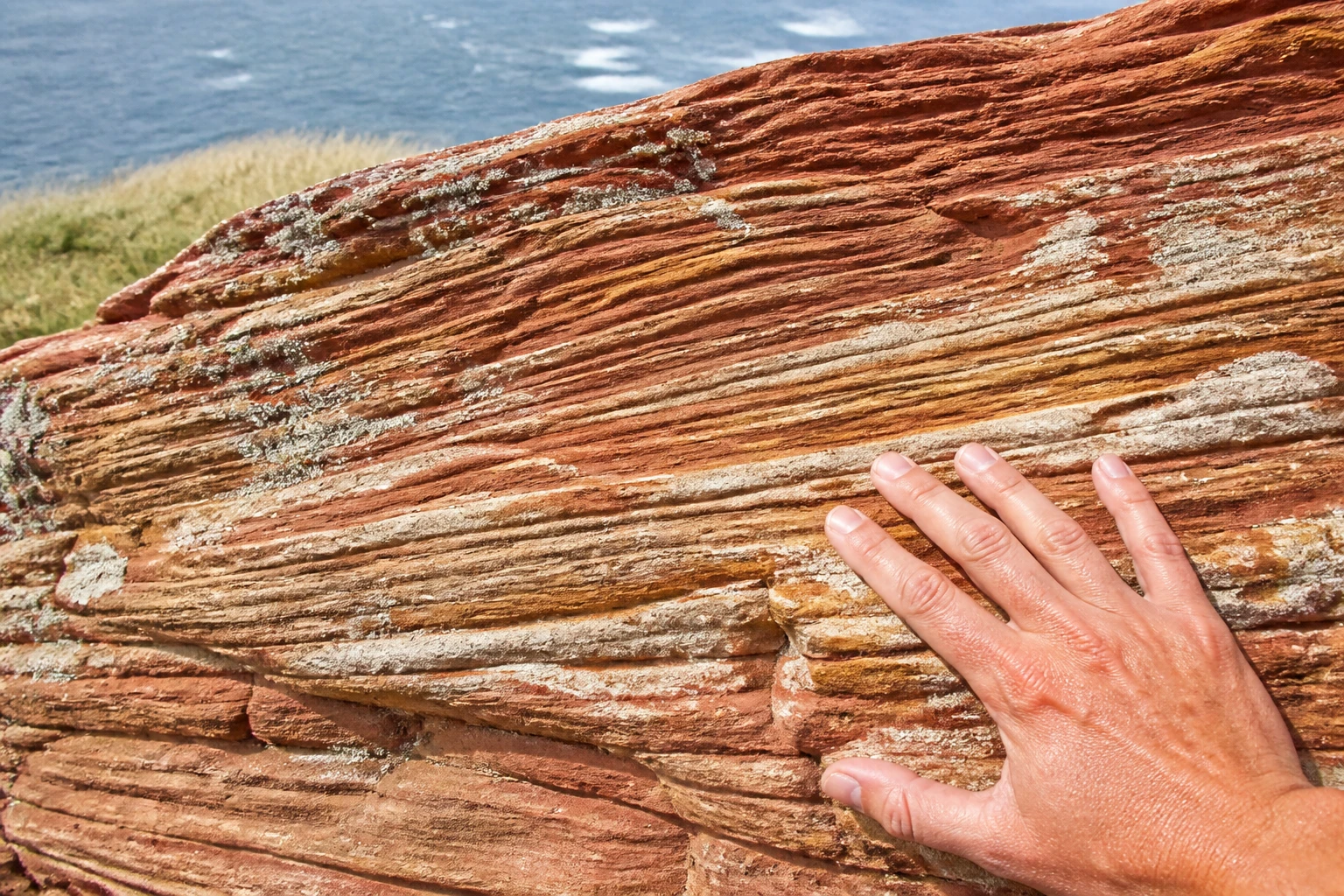 Tight close-up of weathered red Old Red Sandstone rock at Yesnaby Orkney showing dramatic diagonal cross-bedded layers in warm red, ochre, rust-orange and cream coloured sandstone with a single human hand resting on the rock for scale, lichens dotting the surface