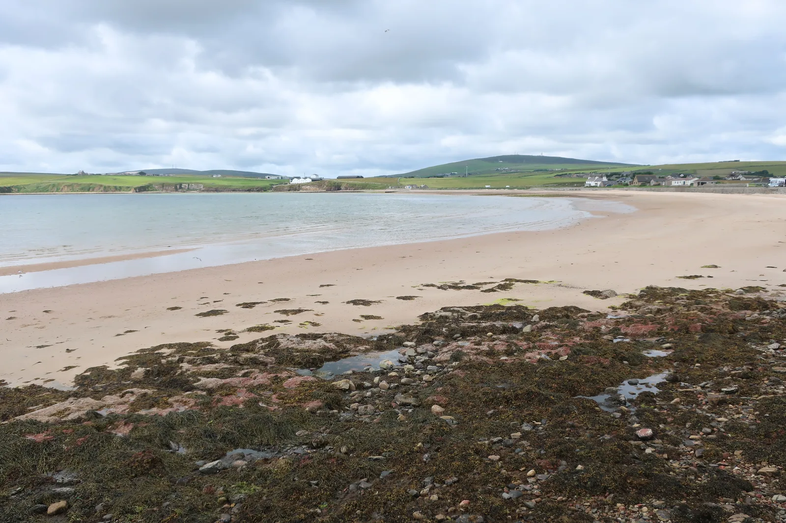 The sandy curve of Scapa Bay on Scapa Flow under a grey sky, with seaweed-covered rocks in the foreground and low green hills behind