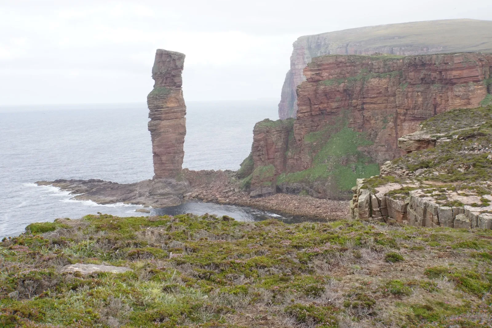 The Old Man of Hoy sea stack seen from the clifftop path, with the layered red sandstone cliffs of Hoy behind it.