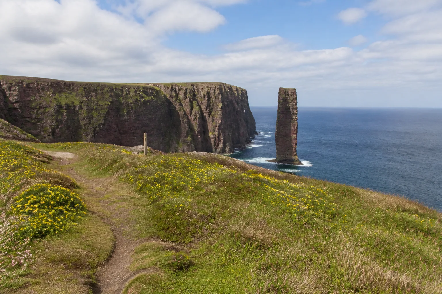 Wide-establishing summer photo from the clifftop above Rackwick on Hoy, Orkney looking out across the chasm to the Old Man of Hoy — a tall narrow vertical sea stack of red sandstone roughly 137 metres high standing in the sea separated from the towering mainland cliffs by a 60-metre gap, with a clear hill path of trodden grass and peat winding along the clifftop in the foreground under a bright partly-cloudy June sky