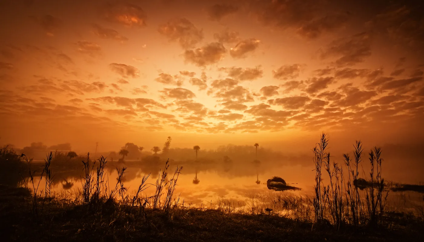 Golden sunrise reflecting on a calm lake surface, with tree silhouettes framing the glowing horizon