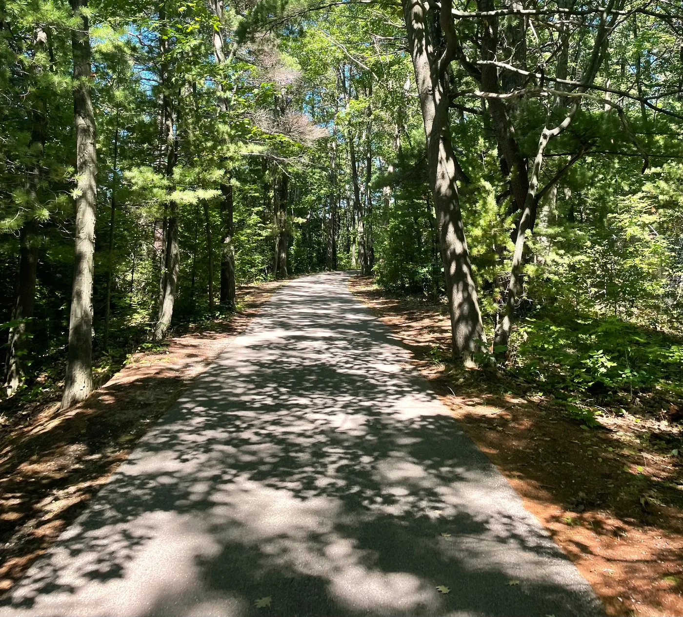 The paved Boardman Lake Trail winding along the shore of Boardman Lake in Traverse City, Michigan