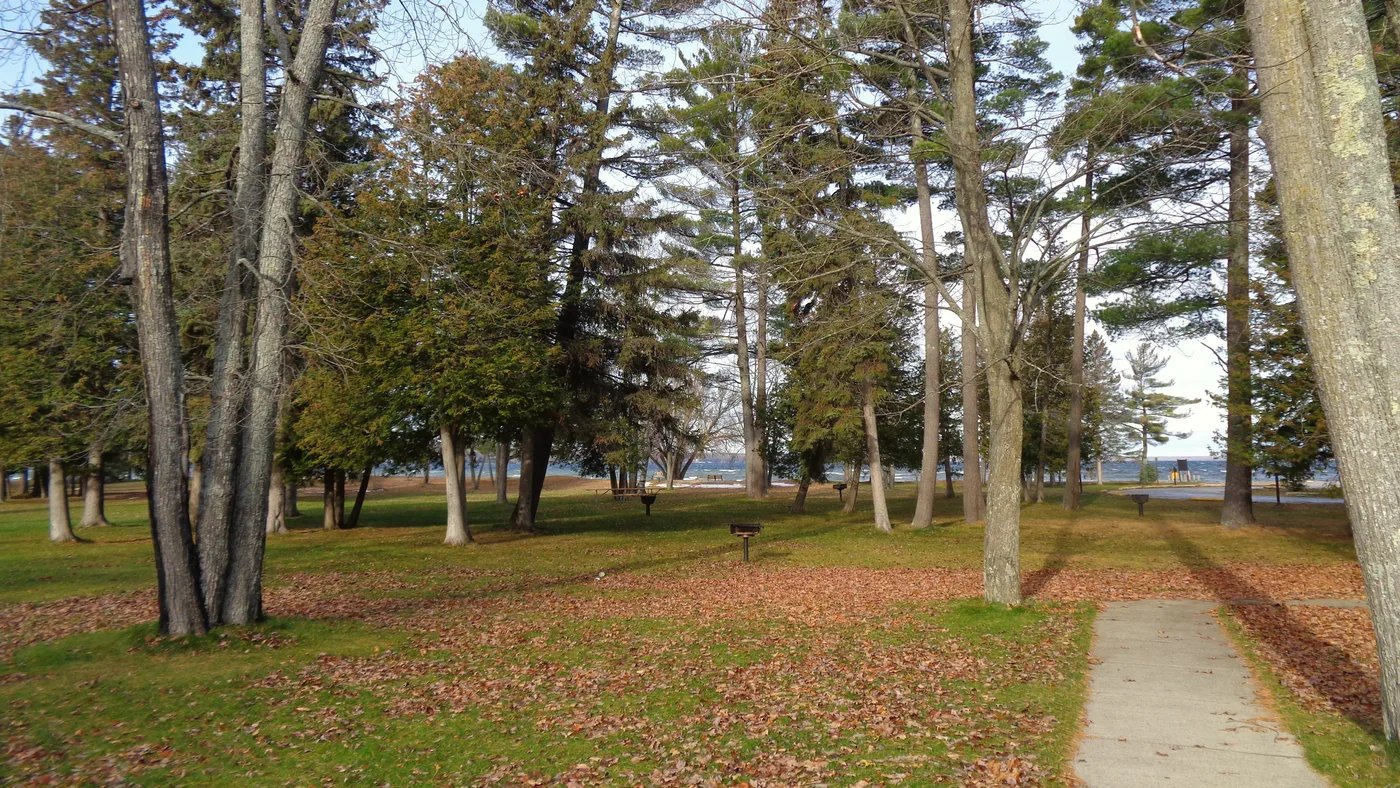 Burt Lake State Park shoreline, Michigan — sandy beach with calm water and autumn trees