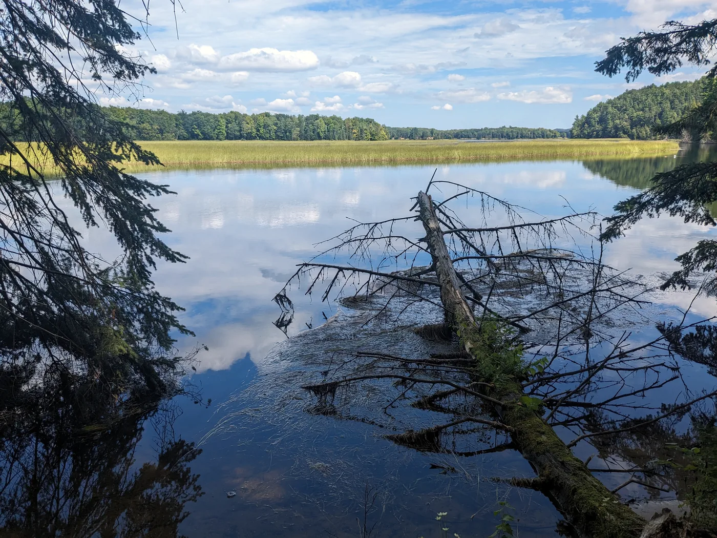 The Au Sable River viewed from the shore near Iargo Springs in the Huron-Manistee National Forest, Iosco County Michigan