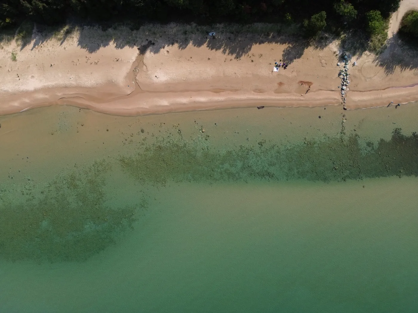 Aerial view of sandy Lake Michigan shoreline with clear blue water and forest-lined beach