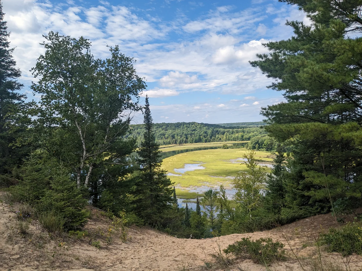 Forested bluffs above the Au Sable River near Iargo Springs on the River Road Scenic Byway