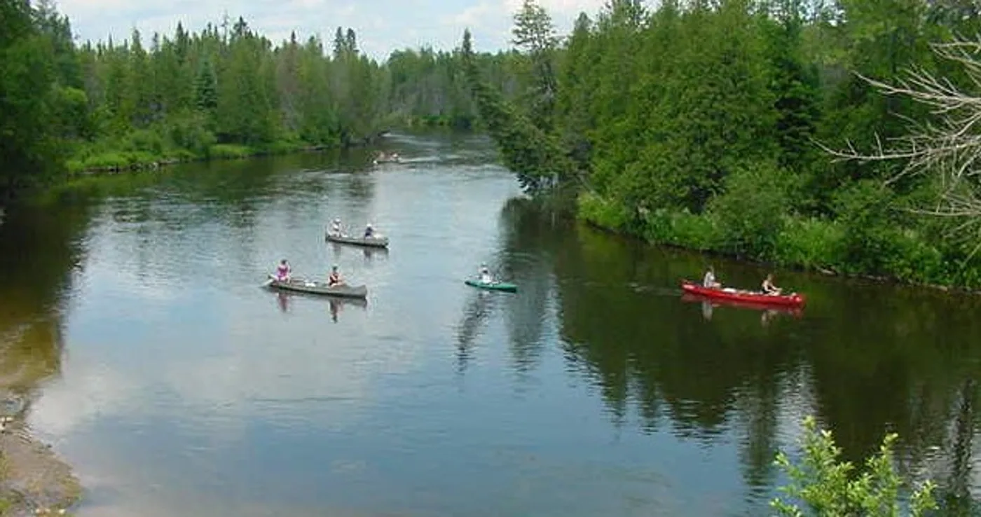 Canoes on the Au Sable River in Michigan, lined up along a forested bank