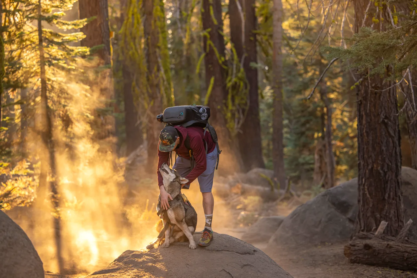 Hiker with backpack embracing a dog on a sunlit forest trail