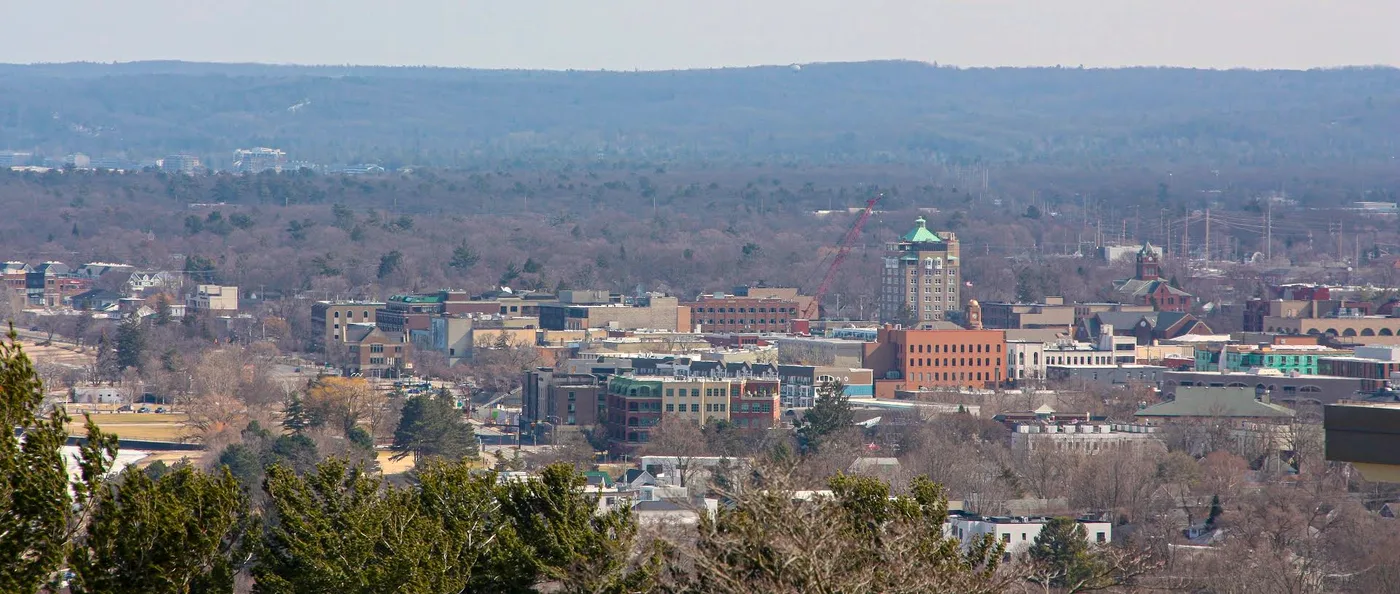 Downtown Traverse City viewed from Wayne Hill, compact city center surrounded by northern Michigan forest