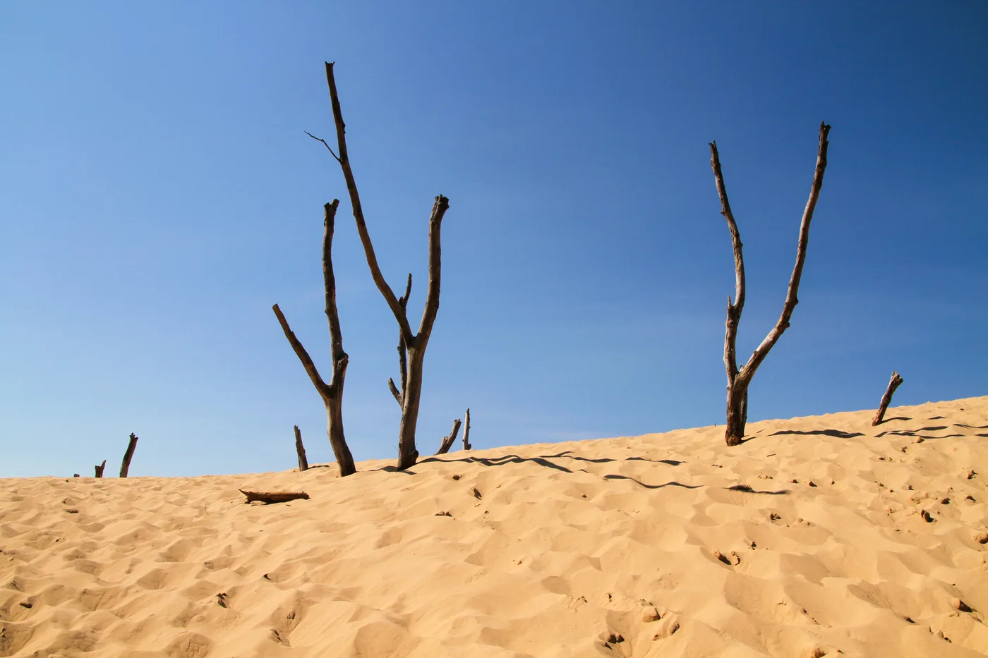 Wind-rippled sand dune formations at Silver Lake State Park in Oceana County, Michigan