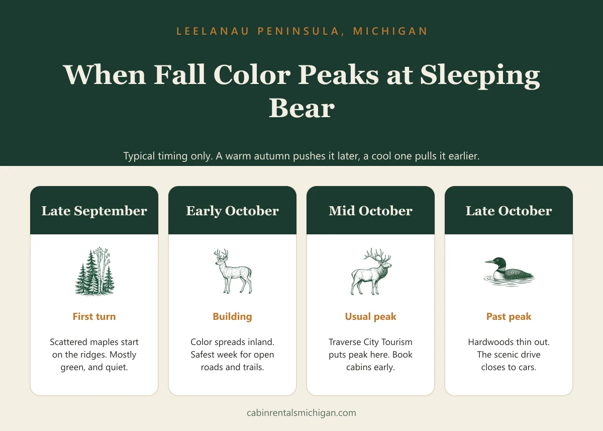 Chart showing when fall color peaks at Sleeping Bear Dunes: late September first turn, early October building, mid October usual peak, late October past peak and the scenic drive closing