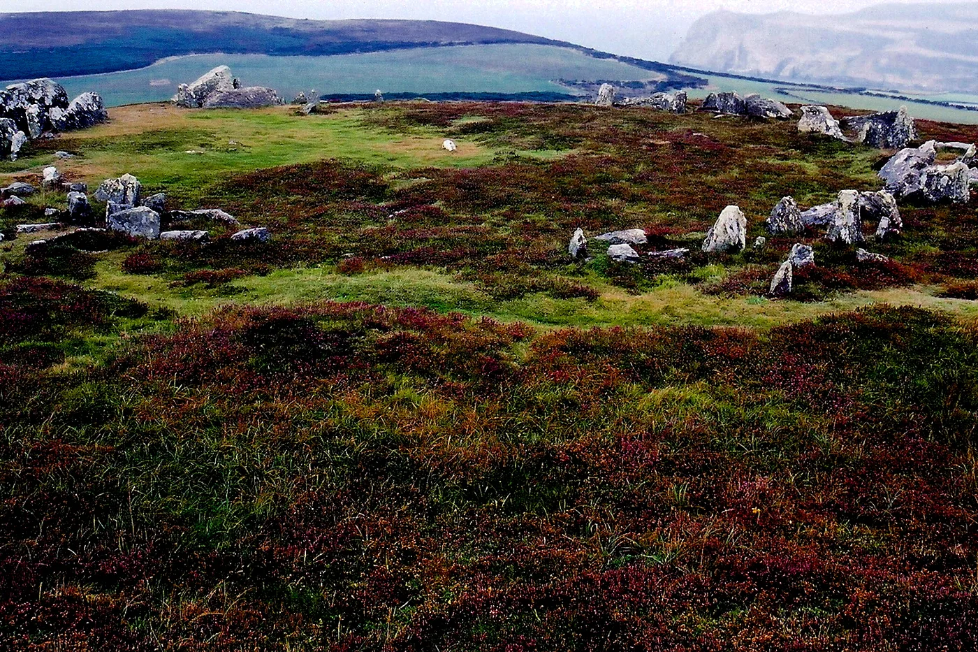 Low grey stones of the Meayll Circle burial chambers set in a ring among heather on Mull Hill