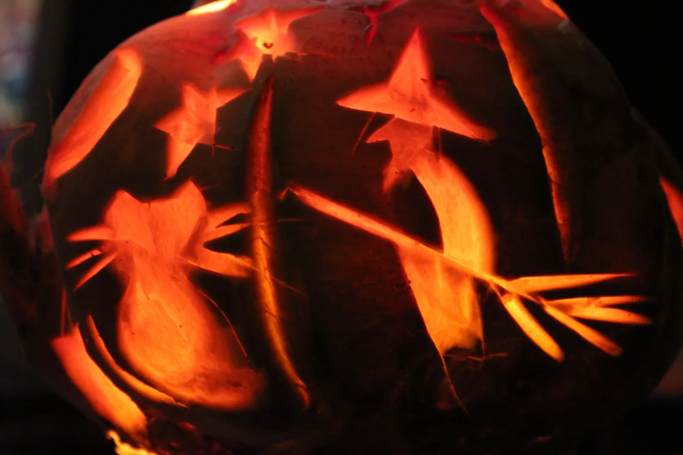 A hollowed turnip glowing orange from a light inside, carved with a witch, a cat and stars
