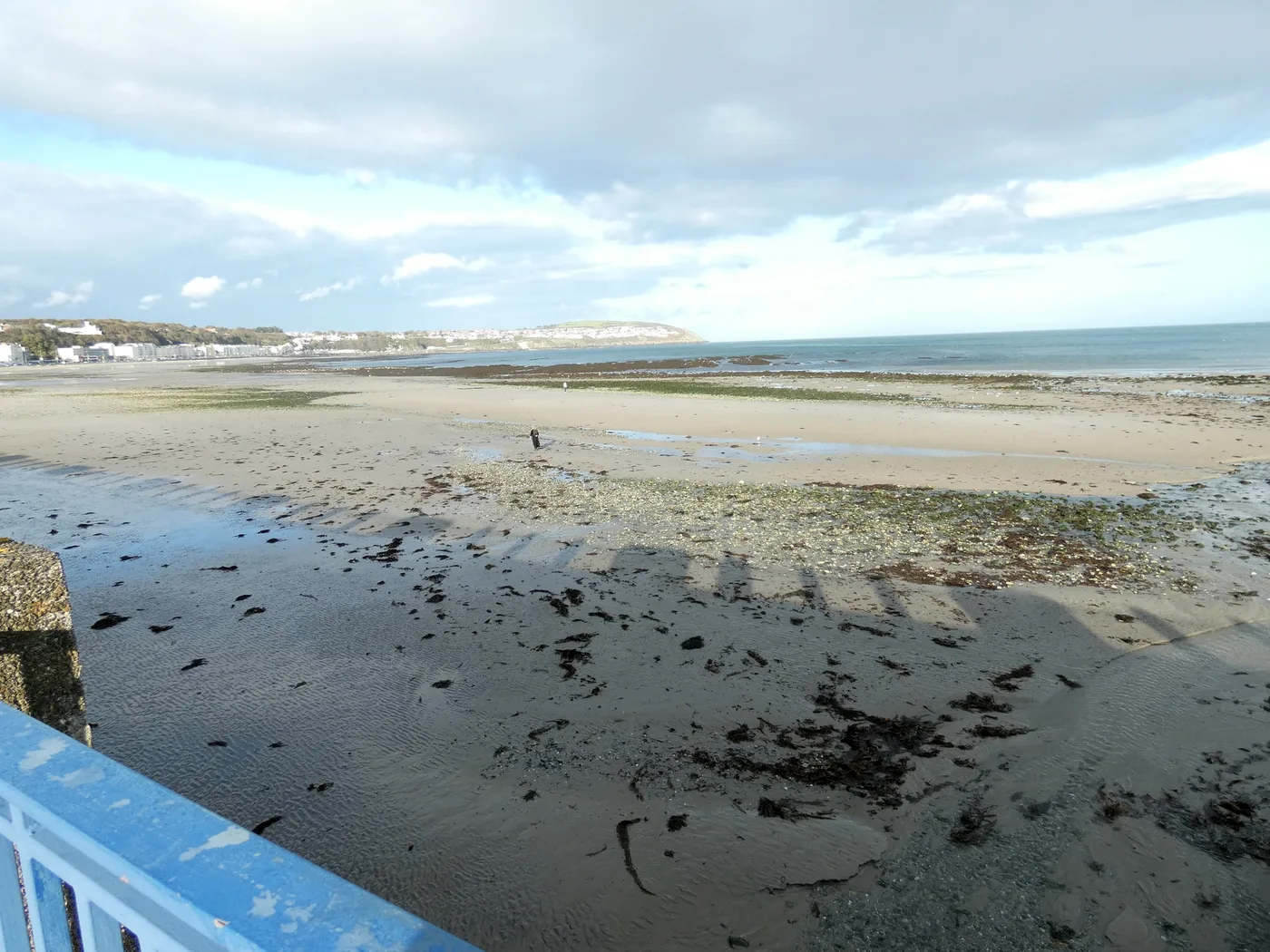 Douglas Beach at low tide, a wide stretch of wet sand and weed with the curve of Douglas Bay beyond