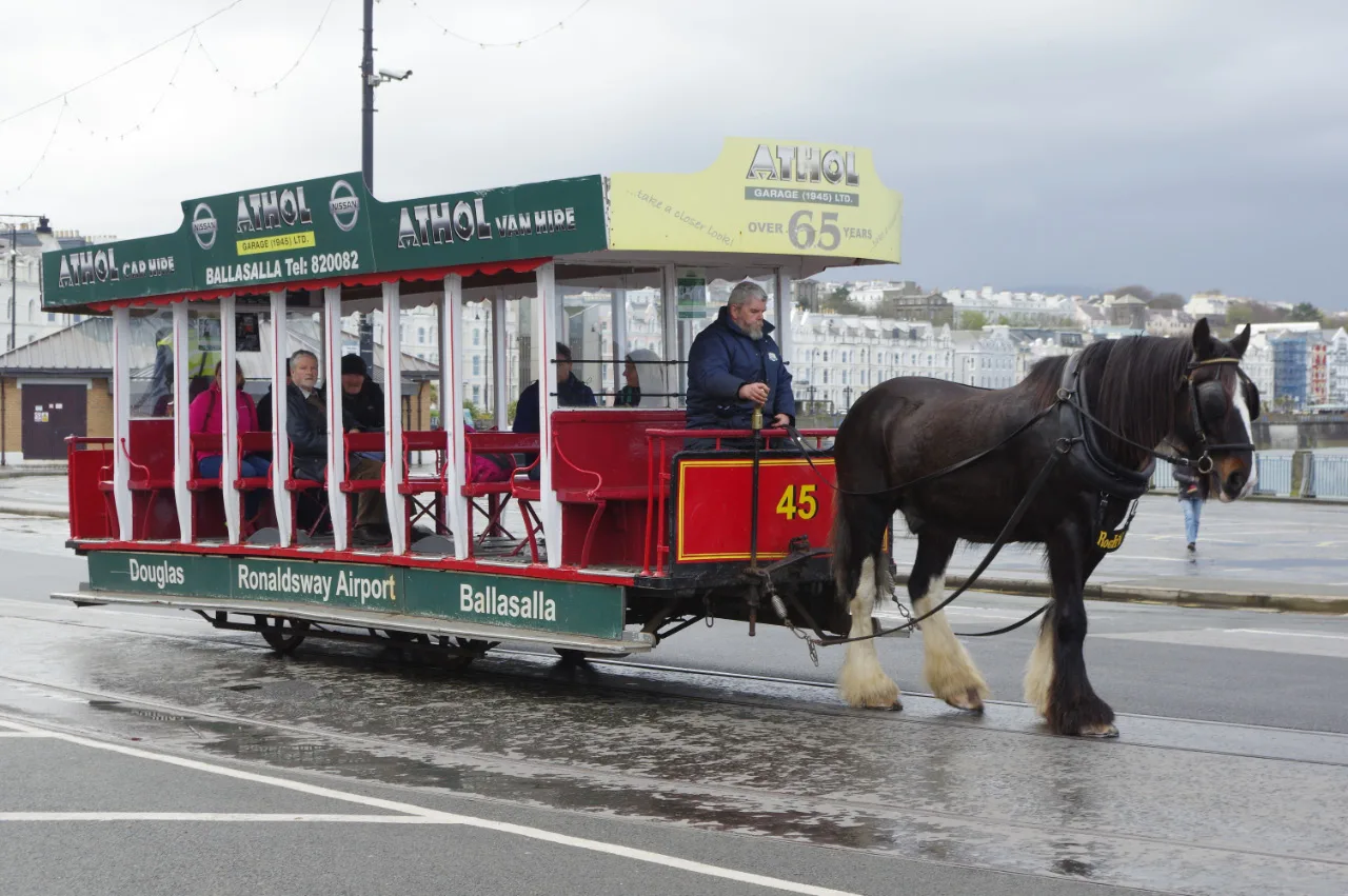 An open-sided red horse tram drawn by a heavy horse along a wet Douglas promenade, with Victorian terraces behind