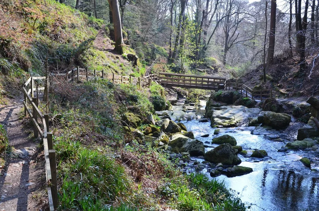 A wooden footbridge over a rocky river in the woods of Ballaglass Glen