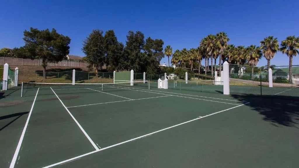 Full-size tennis court on the estate, fenced and lined with palm trees