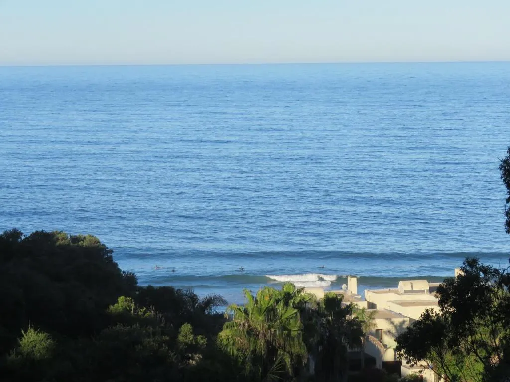 Ocean view over the tree line and rooftops toward the Plettenberg Bay coastline