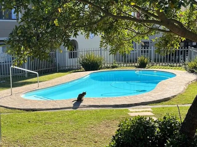 Complex's shared swimming pool set in a fenced garden with a resident cat poolside