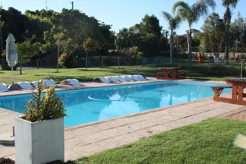 Communal swimming pool with loungers, palm trees, and picnic tables on the estate