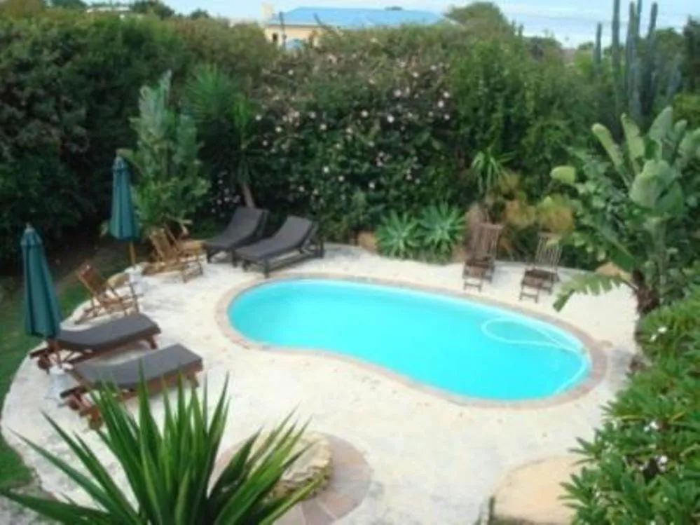 Kidney-shaped pool with loungers and umbrellas set among dense subtropical garden planting