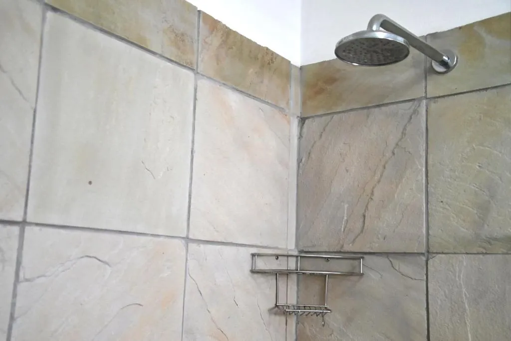 Close-up of the shower tiling, rain showerhead and a wall-mounted toiletry rack