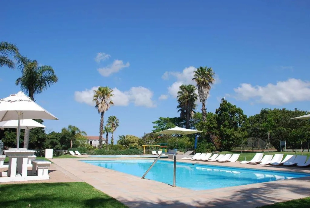 Shared pool with white sun loungers and umbrellas set against palm trees and blue sky