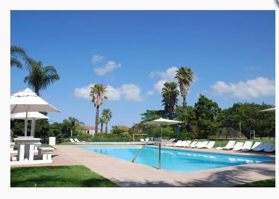 Estate's communal swimming pool with sun loungers, umbrellas and palm trees