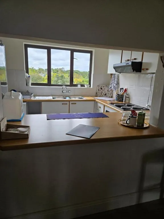 L-shaped kitchen with white cabinetry and a garden-view window